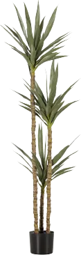 Yucca Kunstplant Groen 155cm